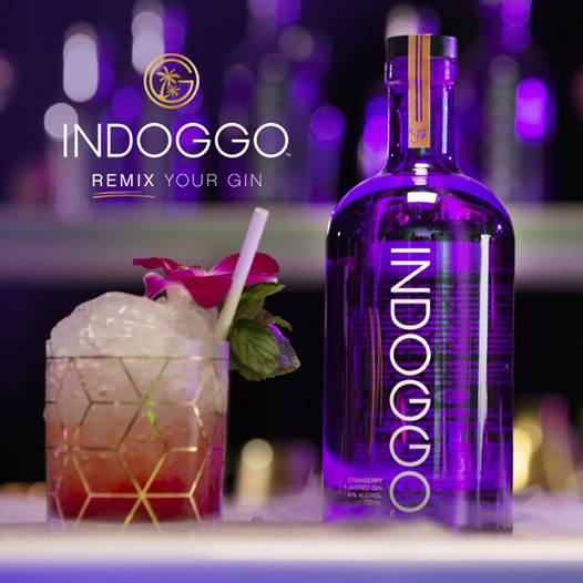 INDOGGO Gin by Snoop Dogg and cocktail